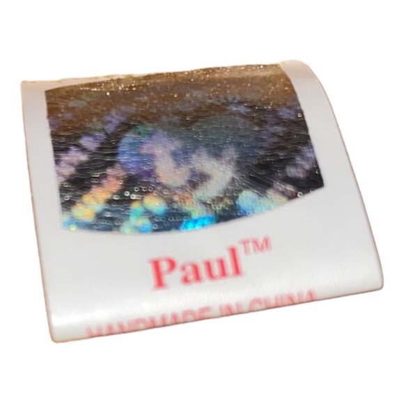 Ty Beanie Babies Paul Walrus 1999 Plush Stuffed Animal Hang 5th Gen Tush 7th Gen - Picture 11 of 11